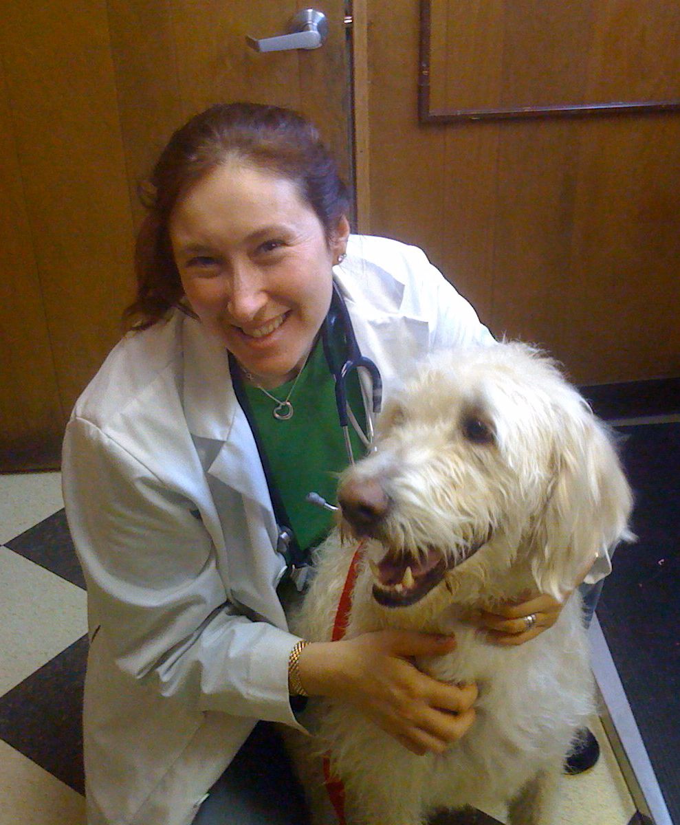 Ivens Bronstein Veterinary Hospital - Ardmore, PA - Our Doctors
